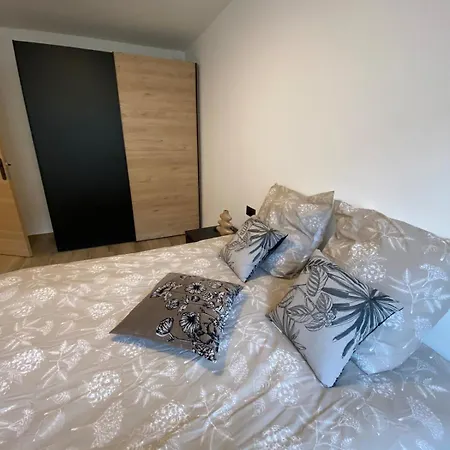 Carpe Diem T4 Centre Climatise Garage Renove Apartmán