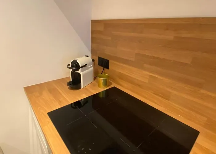 Carpe Diem T4 Centre Climatise Garage Renove